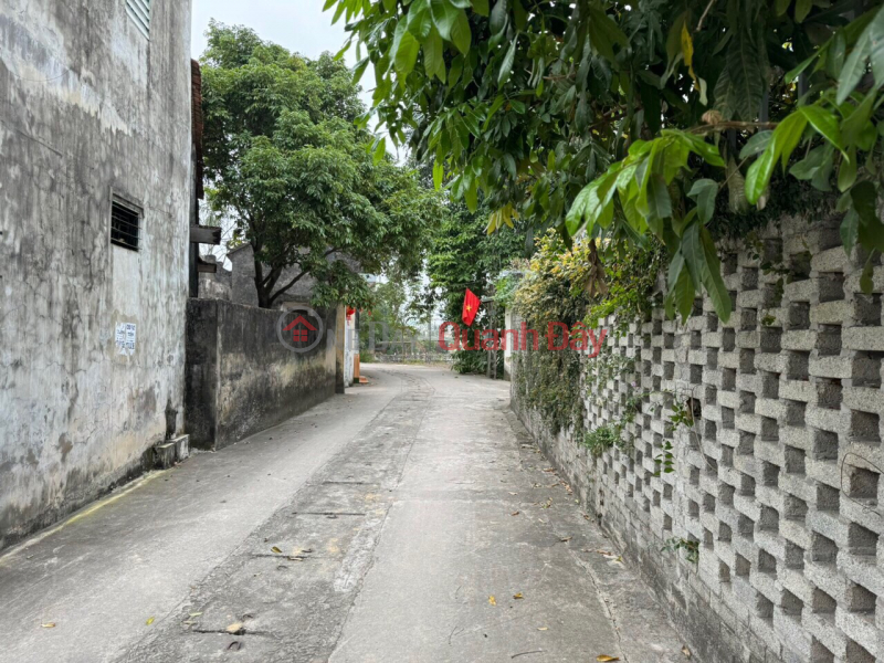 Property Search Vietnam | OneDay | Nhà ở, Niêm yết bán Lô góc đẹp 100m2 full thổ cư trung tâm xã hợp đồng chương mỹ