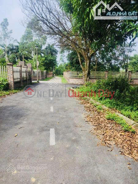 Owning a Land Plot in Minh Tri Commune - Asphalt Road - Adjacent to Soc Son Golf Course and Ban Tien Lake (1.5 billion) | Vietnam, Sales đ 1.5 Billion