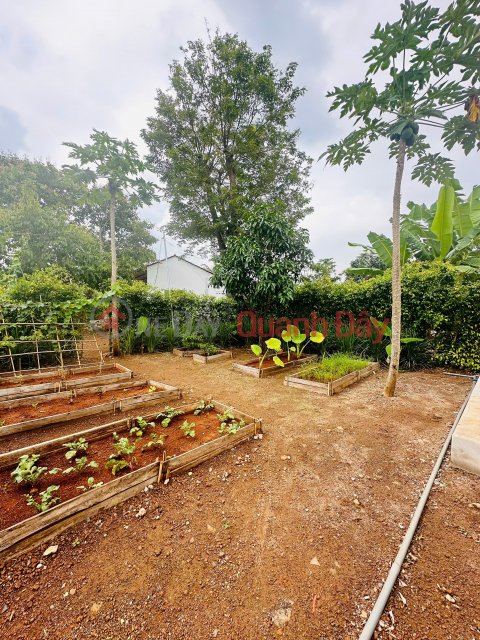 Chỉ Một Lô Duy Nhất - 400M² Mặt Tiền Đường 11M Tại Greenery House Long Tân _0