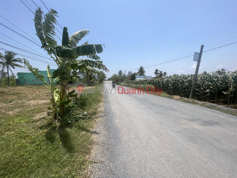 ₫ 1.5 Billion OWNER NEEDS TO SELL QUICKLY 03 BEAUTIFUL LOT OF LAND Fronting Asphalt Road - DT 873B - Ong Non Bridge - Go Cong Town