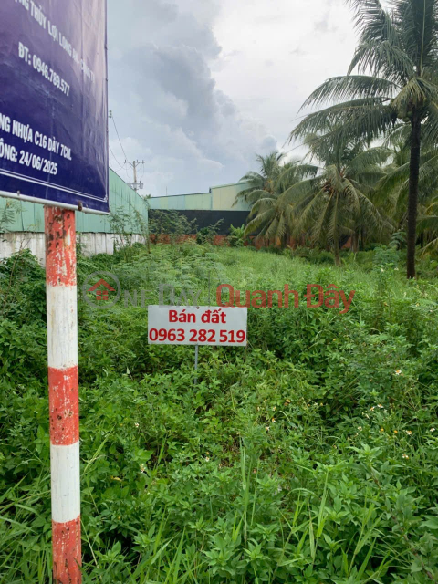 GOOD LOCATION - INVESTMENT IS PROFITABLE - Owner Sells Land Lot on National Highway 57, An Dinh Commune, Mo Cay Nam, Ben Tre _0