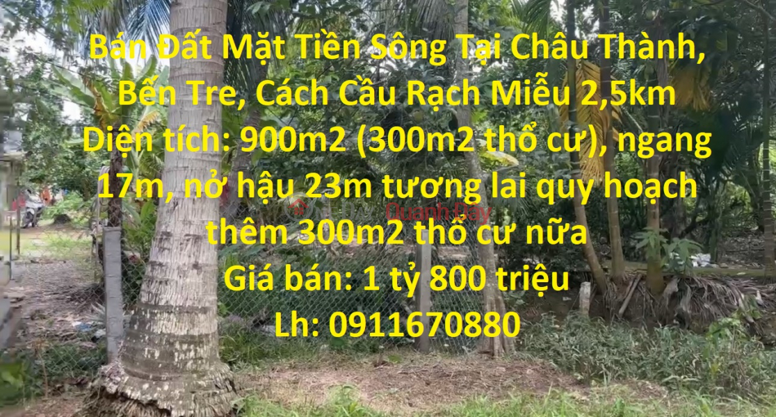 Land for sale in front of river at Chau Thanh, Ben Tre, 2.5km . from Rach Mieu Bridge Sales Listings