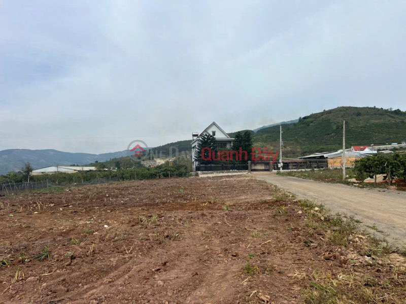 đ 21,45 tỷ | CHÍNH CHỦ Cần Bán Đất Mặt Tiền 6500M2 Chỉ 3,3 TRIỆU/M2 Xã Liên Hiệp, Huyện Đức Trọng, Lâm Đồng