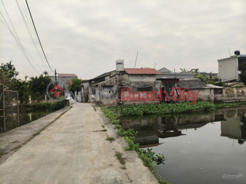 BÁN ĐẤT SƠN ĐỒNG QUỲNH GIAO (NAY LÀ XÃ MINH THỌ, HƯNG YÊN) _0