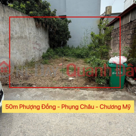 CHÍNH CHỦ CẦN BÁN LÔ ĐẤT 50M TẠI PHỤNG CHÂU-CHƯƠNG MỸ-HÀ NỘI _0