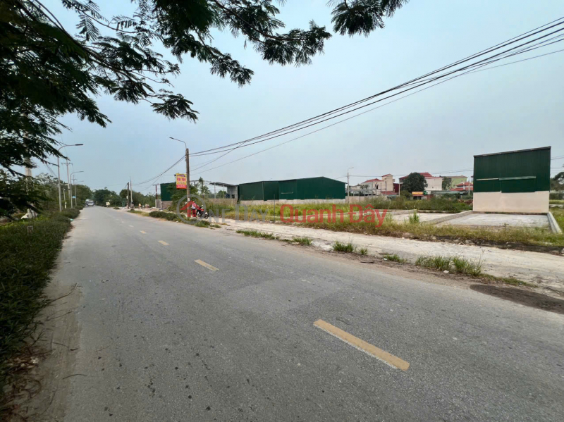 Property Search Vietnam | OneDay | Residential Sales Listings Auction of Thuy Ung lot 14, super beautiful main axis, available for investors