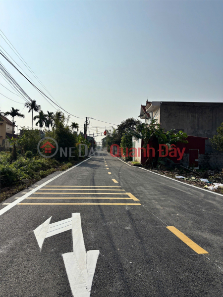 ĐẤT NGÕ Ô TÔ TƯ THỦY HÒA NGHĨA – ĐƯỜNG NHỰA TẬN NƠI – GIÁ HIẾM KHU DƯƠNG KINH ZALO 0567 222 555 Việt Nam, Bán đ 1,5 tỷ