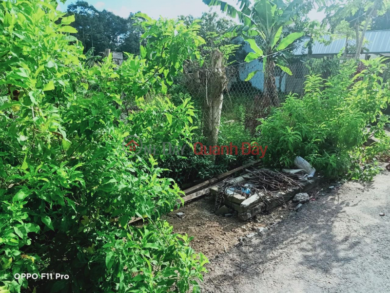 OWNER Urgently Needs To Sell Land Plot With Asphalt Road Front At Hamlet 6, Ward 8, Tra Vinh City Vietnam | Sales, đ 1.5 Billion