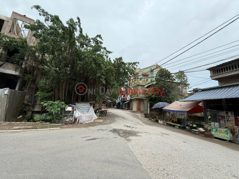  | Làm ơn chọn Nhà ở Niêm yết bán | đ 10 triệu