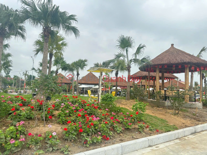 đ 2.95 Billion, BEAUTIFUL LAND - GOOD PRICE - Land for sale in Viet Hung Urban Area, Thanh Mien, Hai Duong (Now Hai Phong)