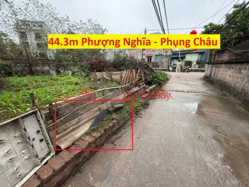 CHÍNH CHỦ CẦN BÁN LÔ ĐẤT 44,3M TẠI PHƯỢNG NGHĨA-PHỤNG CHÂU-CHƯƠNG MỸ-HÀ NỘI Niêm yết bán
