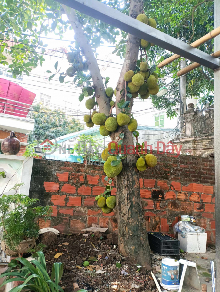 cho thuê phòng Niêm yết cho thuê (OGUPW-089577782)