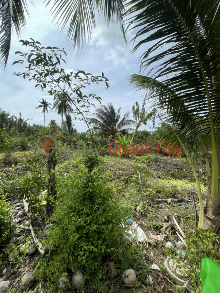 đ 7.2 Billion/ month, PRIMARY LAND - Land Lot for Quick Sale in Tam Hiep Commune, Binh Dai District, Ben Tre