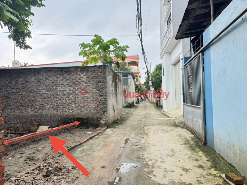 Land for sale in Noi Dong village, Dai Thinh, Me Linh. 5m frontage. Near Hud urban area, belt road 4, Vietnam | Sales, đ 3.95 Billion