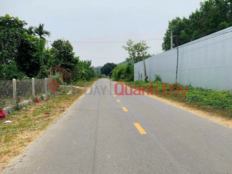 Đất mặt tiền Tỉnh Lộ 2, Xã Diên Thọ, Huyện Diên Khánh, Khánh Hòa - Đất có sẵn vườn cây trái _0