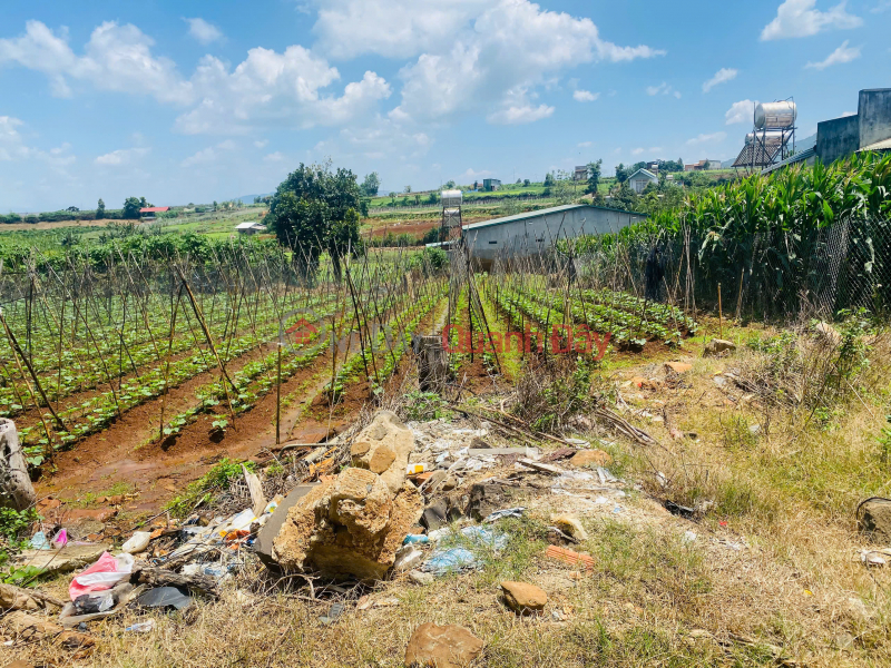 LAND FOR SALE, 216m2, LIEN HIEP - DUC TRONG - LAM DONG, PRICE 2 BILLION VND | Vietnam Sales đ 2 Billion