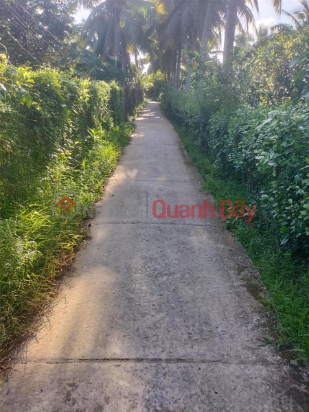 Property Search Vietnam | OneDay | Residential | Sales Listings | Owner For Sale Land Lot Prime Location In Phu Thuan, Phu Phong, Chau Thanh, Tien Giang