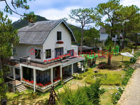 Cho thuê khu nghỉ dưỡng 5ha gồm 5 biệt thự 8 bungalow giá 400 triệu Đà Lạt Lâm Đồng _0