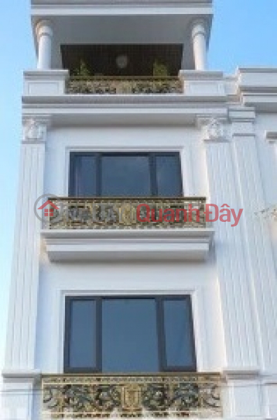 The owner rents a new house of 75m2,4T, office, business, restaurant, Le Thanh Nghi-25M Rental Listings