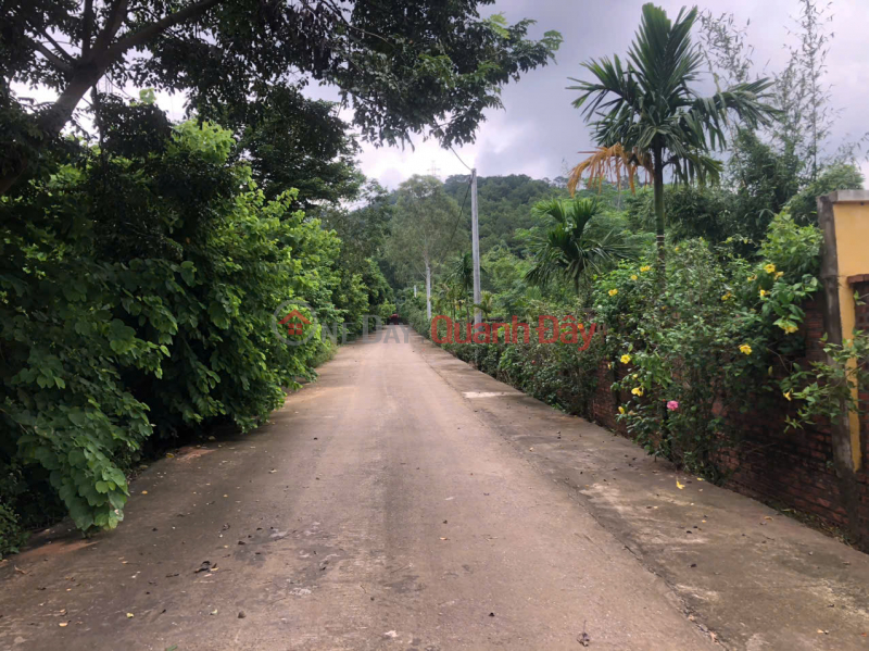 đ 7.88 Billion, RARE! OWN A BEAUTIFUL LOT OF LAND - GOOD PRICE at Minh Phu Forest Farm, Soc Son, Hanoi