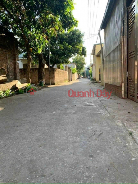 Need to sell quickly 67m2 plot of land, at Hanh Lac, Nhu Quynh, Van Lam, motorway, convenient transportation _0