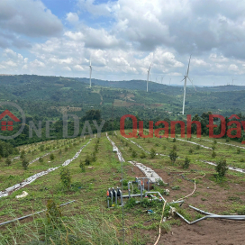 ĐẤT ĐẸP – GIÁ TỐT - Chính Chủ Cần Bán Nhanh Xã Cư Né, Huyện KrongBuk, Tỉnh ĐăkLăk _0