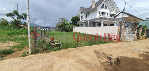 LAND FOR SALE IN VILLA AREA NEAR CENTER OF NGO QUYEN WARD 6, DA LAT _0