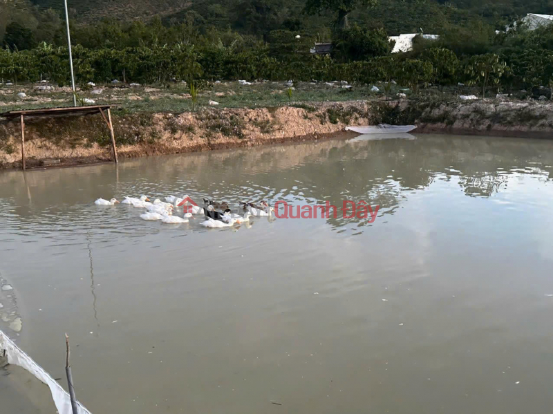 đ 12 Billion Selling 21000m2 (21 sao) of land, house, pond, coffee garden - Lien Hiep Commune - Duc Trong Lam Dong