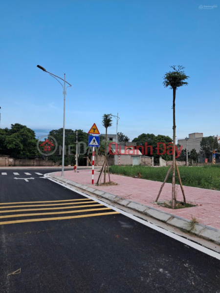 Bán đất trung tâm xã An Đồng - Thái Bình, vị trí đắc địa, đã có sổ, trung tâm hành chính Việt Nam, Bán, đ 1,96 tỷ