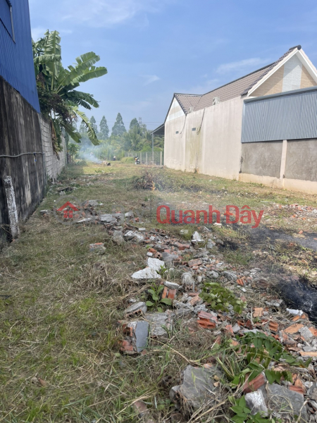 Property Search Vietnam | OneDay | Residential Sales Listings OWNER NEEDS TO SELL LAND LOT AT QL91, Phung Thanh 2 Area, Trung Kien, Thot Not, Can Tho