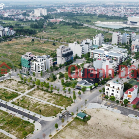 Land for sale in Dong Anh, Le Phap Tien Duong village, investment price 54 million\/m2 _0