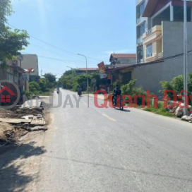 Selling 1320m2 of land in Dai Thang, Phu Xuyen, potential for investment. _0