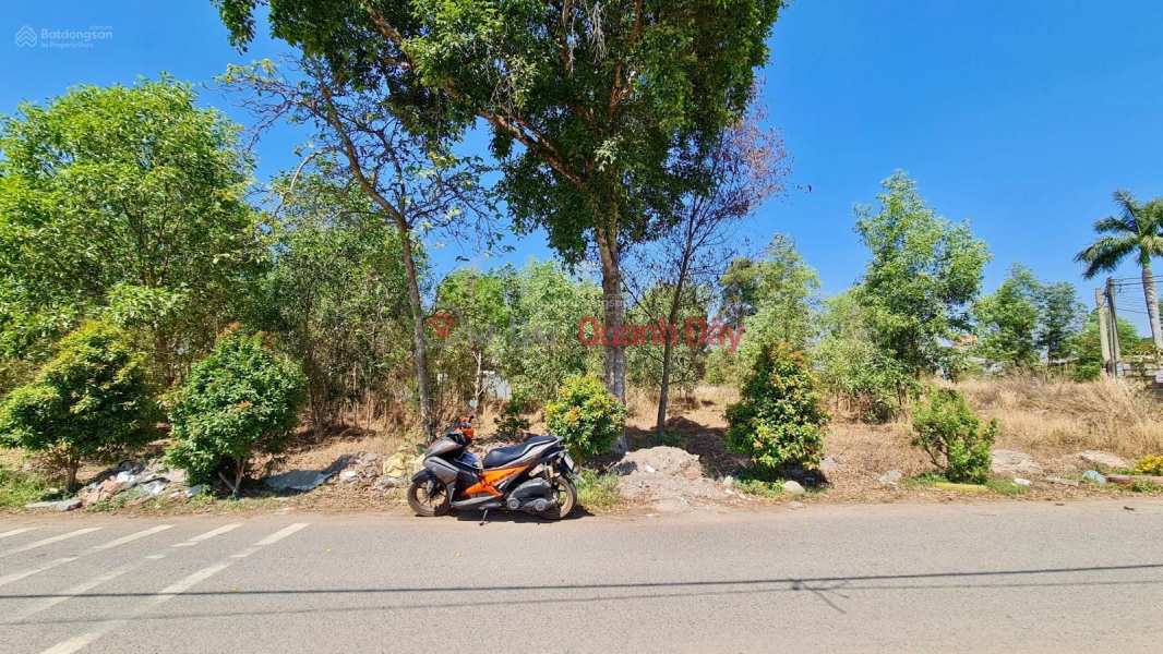 Urgent sale of land lot on Phu Thuan street frontage - Phu My Hung commune, Cu Chi district, Ho Chi Minh city., Vietnam, Sales đ 40 Billion