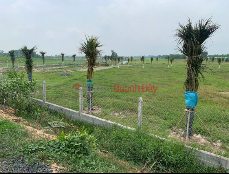 Selling a garden on Provincial Road 7 Cu Chi 500m2 for 750 million | Vietnam Sales | ₫ 750 Million