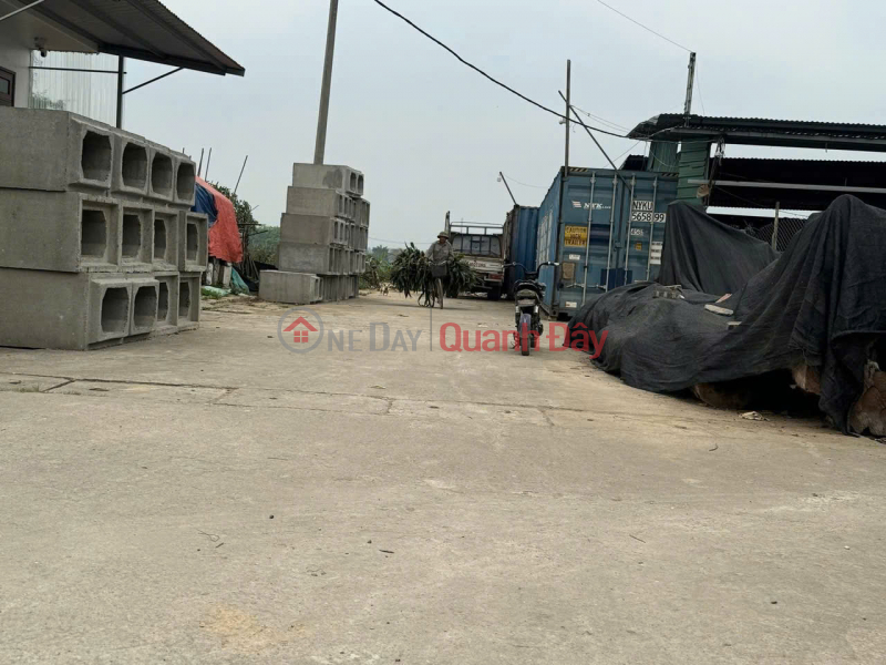 Selling 84m2 of auctioned land in Ben Trung, Bac Hong - Next to 40m planning road Sales Listings