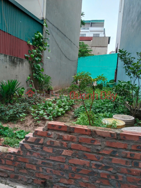 LAND FOR A 4-LEVEL HOUSE, FRONTAGE 5.6M, PRICE 2.95 BILLION IN PHUC LOI, LONG BIEN Sales Listings