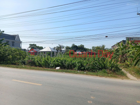 Bán Đất tại Quốc lộ 54, xã Lai Vung (xãTân Thành, Huyện Lai Vung) giá tốt chỉ với 4,1 tỷ _0
