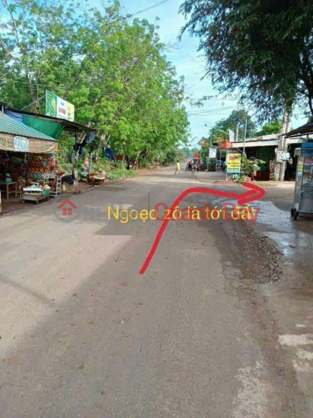 đ 300 Million, My family sells 3555m2 land urgently next to the industrial park, near the market, 18m asphalt road. Price 300 CHILD