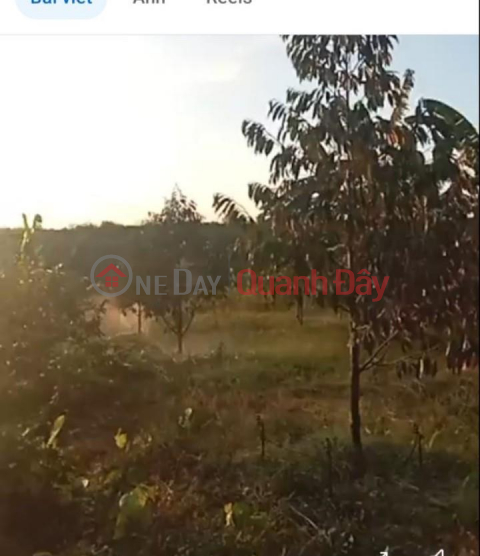 OWNER - FOR SALE Land Plot IN Thuan Phu Commune, Dong Phu, Binh Phuoc _0