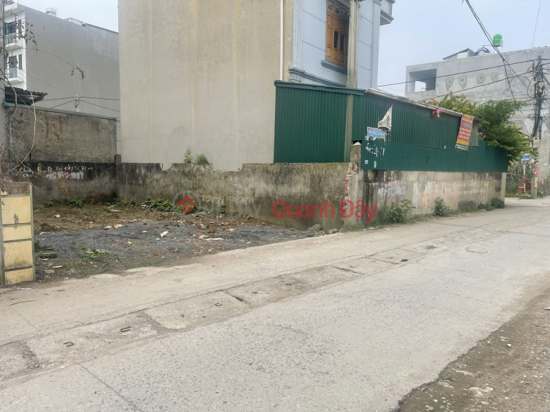 Goodwill Land plot for sale, price Dinh Quang, My Hung Thanh Oai, Price 7xtr\\/m2. Sales Listings