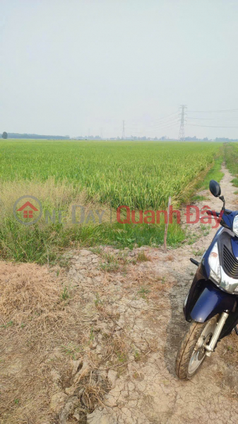 đ 15 Billion | INVESTMENT IS PROFITABLE - Owner Needs to Sell Land Plot in Tan Hoa Commune, Tan Thanh District, Long An Province