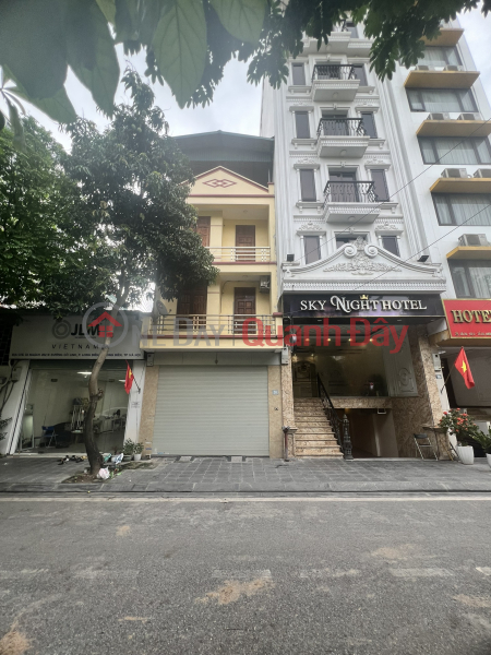 Long Bien house for sale, 100m, 5.5m frontage, flower garden view, car parking, permanent ventilation, 2 sidewalks | Vietnam Sales | đ 20 Billion