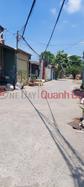 đ 980 Million | Beautiful Land - Good Price - Owner Needs to Sell Land Plot Quickly, Location in Binh Chanh District, HCMC