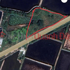 PROFITABLE INVESTMENT - Owner Selling Land with FRONTAGE on National Highway Quan Lo, Phung Hiep, Vinh Phuoc, Ca Mau _0