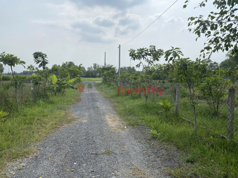 đ 4.3 Billion | PRIME LOCATION - GREAT PRICE - FOR SALE: 1,119.8 M² GARDEN LAND PLOT WITH TWO FRONTAGES IN TAN PHU TRUNG COMMUNE, CU CHI DISTRICT, HO CHI MINH CITY
