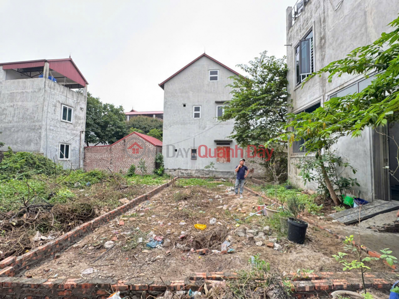 Chủ cần bán gấp mảnh đất 74m trung tâm thị trấn Chi Đông cũ, gần KCN Quang Minh | Việt Nam | Bán đ 3,5 tỷ