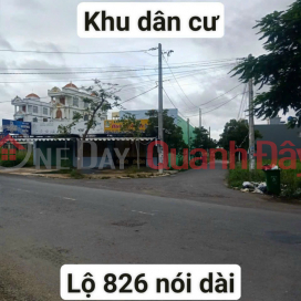 The owner sends and sells corn land (DUCHU-7093194413)_0