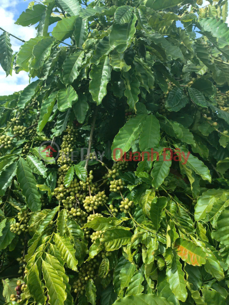 Làm ơn chọn Nhà ở Niêm yết bán | đ 5,4 tỷ