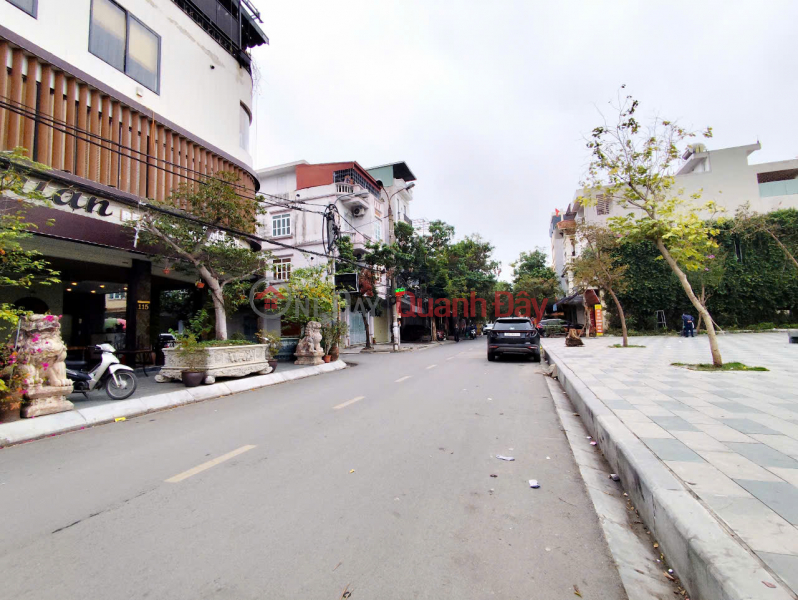 Land plot on Ngo Kim Tai street - Quan Nam - 73m² - 5m sidewalk - Price 5.99 billion VND - prime business location Sales Listings