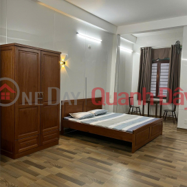 FULLY FURNISHED 45M² MINI APARTMENT - IN THE CENTER OF HAI CHAU WARD _0